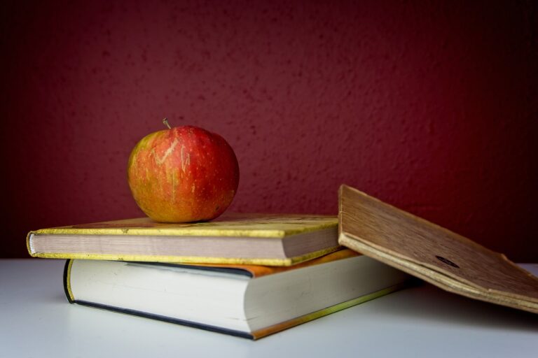 The Impact of Socioeconomic Factors on Student Success