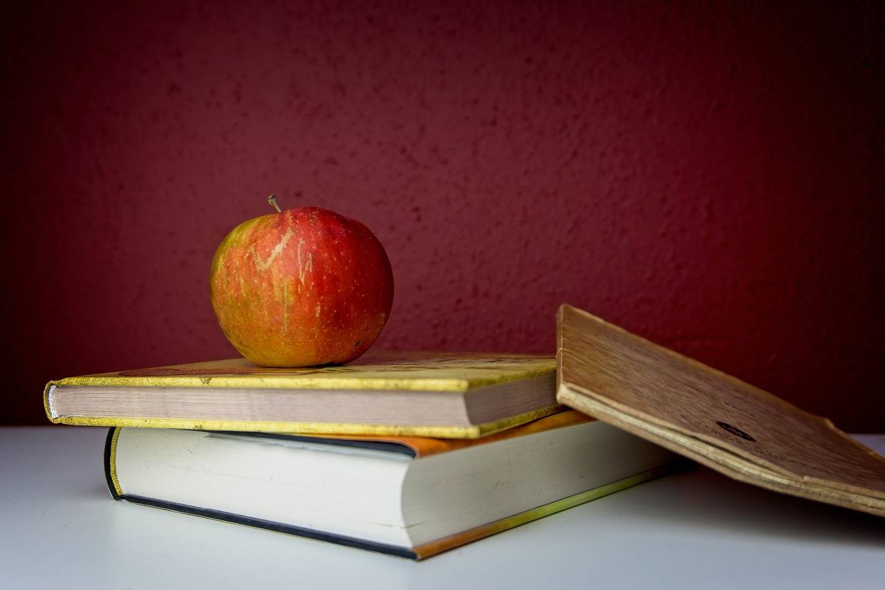 The Impact of Socioeconomic Factors on Student Success