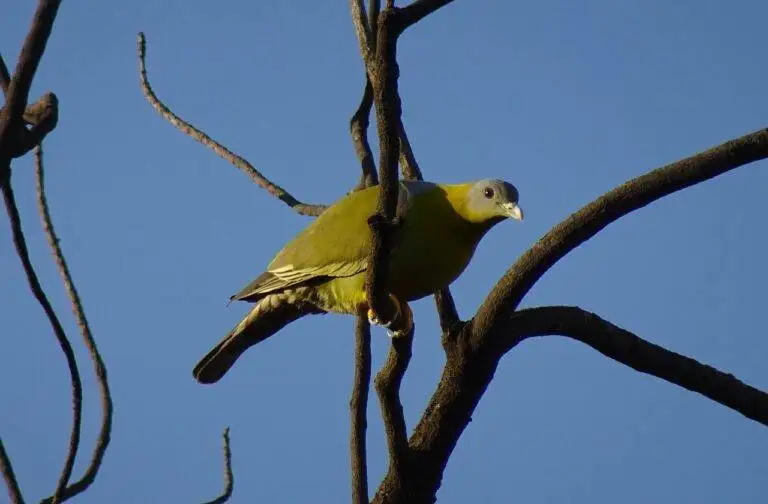 Exploring the Influence of National Security Concerns on Election Campaigns