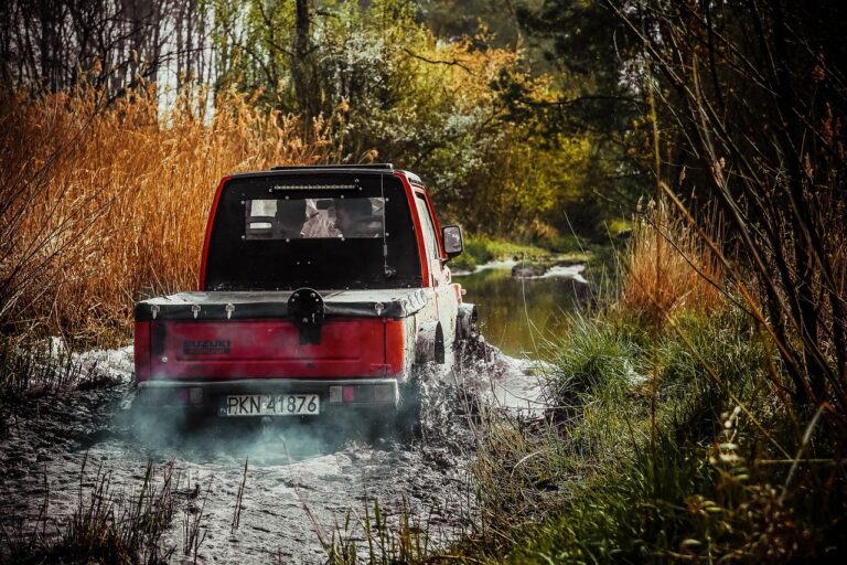 The Impact of Auto Industry Partnerships on Innovation and Market Expansion