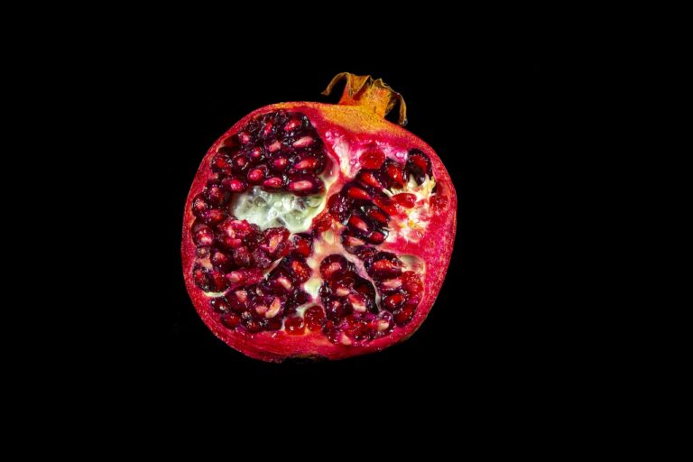 The Role of Nutritional Supplements in Health