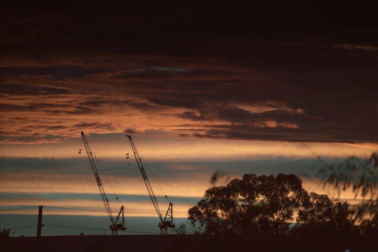 The Role of AI in Environmental Conservation Monitoring