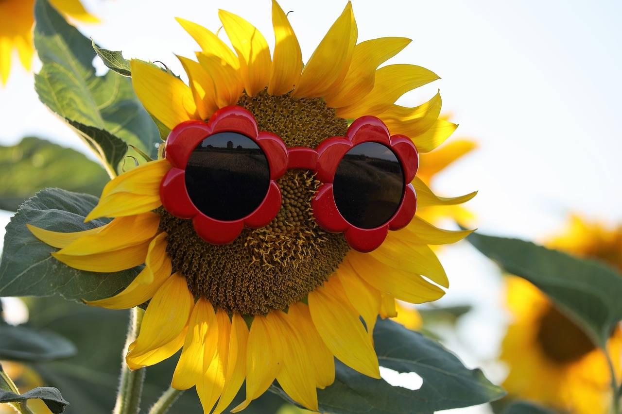 Fashion and Travel: Destination-Inspired Collections