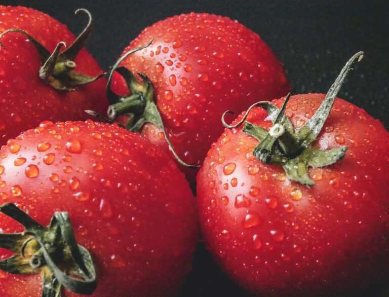 The Importance of Regular Exercise for Longevity